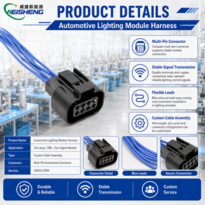 Kabel Diagnostik OBD Kustom CAN Bus ECU Sensor Pengambilan Data Harness OEM - Product Image 3