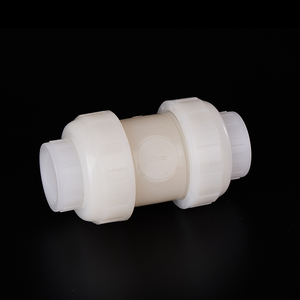 Van kiểm tra Công Đoàn đôi pvdf van một chiều dọc không quay trở lại cho công nghiệp - Product Image 1