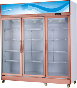 ตู้แช่แข็งกระจกบานเลื่อนแบบตั้งตรงสำหรับธุรกิจ - Product Image 5
