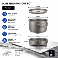 Marmite en titane pur pour le camping en plein air, ensemble de cuisine portable pliable pour la cuisine en plein air