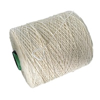 5000D Beige Gedrehtes PP Fibrilliertes Garn für Seile PP