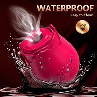 Masturbateur clitoridien à 10 vitesses pour adultes, effet de saut, rechargeable par USB, vibrateur en silicone rose pour stimulateur de poitrine, 100%