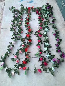 Together Etoile an Lace Banks New Shade Sale Wisteria Thorns Arizona Comte Morning Purple Thunbergia Rose Sensation - Product Image 4