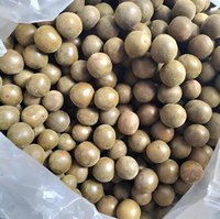 ZZH penjualan jumlah besar Luo Han Guo buah biksu mentah kering berkualitas tinggi langsung dari Tiongkok Guangxi kaya dalam pemanis alami