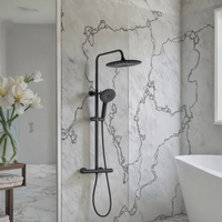 Ensemble de colonne de douche à effet pluie en acier inoxydable chromé noir TM-1005