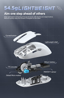 En stock Souris de jeu Paw3311 OEM Jeu 2.4Ghz Sans fil Bluetooth Filaire Trois modes Souris légère Souris de sport électronique