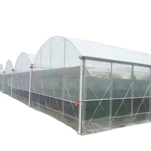 Agricultura Agricultura Agricultura Industrial Hidropônico Sistema Comercial Multi Span Steel Frame PO Film Tunnel Greenhouse