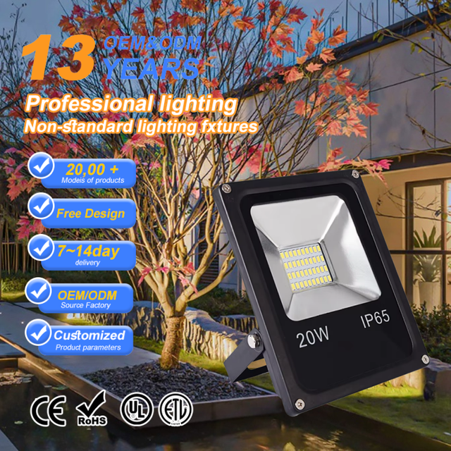 DC24V Outdoor LED Flood Light Waterproof IP65 50W Aluminum Body for Road Warm White & Cool White at 6500K Marine Flood Light