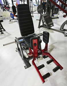 <span class=keywords><strong>Machine</strong></span> de <span class=keywords><strong>musculation</strong></span> intérieure et extérieure chargée de plaque d'équipement de gymnastique commerciale - Product Image 3