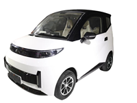 Voiture électrique mini EEC L6e-BP/L7e-CU, 2 places, petit véhicule électrique, voiture électrique pour adultes, faible vitesse, prix direct usine pour la vente en gros