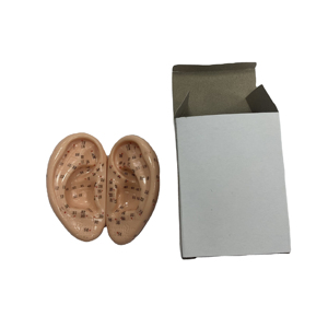 Hot Sale Acupuntura Humana Modelo 7.5cm Ear Acupuntura Modelo Soft Flexível Ear Displays para Acupuntura - Product Image 6