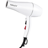 Sèche-cheveux HALEY blanc avec poignée pliable, embout concentrateur compact, 2 vitesses, fonction air froid, léger, idéal pour dortoir, voyage et usage quotidien