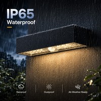 Applique Murale Solaire 150LM/W, Luminaire Extérieur LED Haute Luminosité avec Boîtier Ignifuge IP65, Garantie 3 Ans pour Jardin et Terrasse