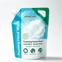 Fabricant de sachets en plastique de 250 ml, 500 ml et 1 L pour désinfectant pour les mains, savon liquide, recharge de liquide, poche avec bec verseur