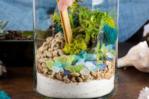Dekorative halboffene Flasche <span class=keywords><strong>Terrarium</strong></span> Plant <span class=keywords><strong>Terrarium</strong></span> Recycelte Glass teine Boden Kork schale Seetang Beach <span class=keywords><strong>Terrarium</strong></span> Kit Tool - Product Image 5
