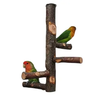 पालतू तोता स्टैंड ठोस लकड़ी स्टैंडिंग स्टिक पोल काटने वाला मोलर पंजा पीसने वाला खिलौना पक्षी पिंजरे की आपूर्ति