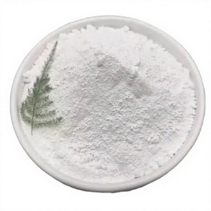 Carbonate de Calcium (CaCO3) Ultra-Fin de Qualité Industrielle Haute Performance et Fiable, Prix Compétitif, Multiples Applications PP Nhat Thang - Product Image 1