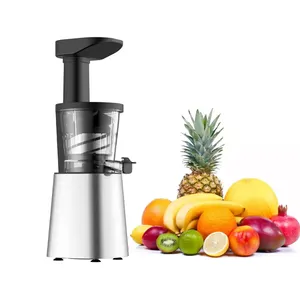 Factory Orange Slow Juicer Extractor Electric Cold Press Slow Juice Extractor Machine For Home