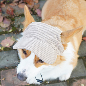Lindo sombrero de pescador estilo Ins para perro, gorro de <span class=keywords><strong>sol</strong></span> de pana sólida para todas las estaciones, disfraz para Golden Retriever, venta al por mayor en Guangdong - Product Image 3