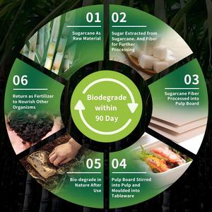 Fournisseur de boîtes à hamburgers jetables écologiques, emballage de boîtes à emporter, emballage personnalisé en papier biodégradable, emballage alimentaire pour hamburgers - Product Image 4