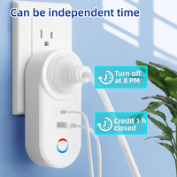 Prise intelligente SIXWGH, type EU, UK, US, avec port USB Type-C, surveillance de la consommation d'énergie, 16A, WiFi, compatible avec Alexa, Google Home, commande vocale, fonctionne avec Smart Life