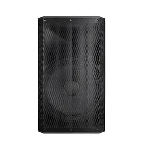 15 Inch 1000W Professional PA System Class D Active Loudspeaker