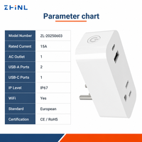 Prise intelligente électrique avec télécommande Wifi domestique, type C USB, étanche, de fabrication ZHNL ZL-20250603, aspect rouillé