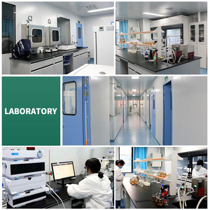 מרכיב בריאות 10:1 20:1 שורש ריבס תמצית אבקת - Product Image 4