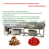 KAYA Automatische Blauwe Bes Mango Appel Bubbelreinigingsmachine voor Dragon Fruit en Sla met Motor, 500kg Capaciteit