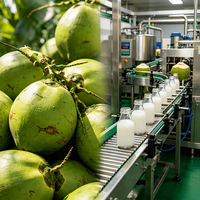 Ligne industrielle de traitement de la noix de coco : Usine intégrée de décantation de la pâte de noix de coco, de thermoscellage et de convoyage