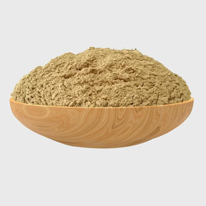 Gừng tự nhiên gốc bột nghệ bột tinh khiết khô gừng gốc chiết xuất bột - Product Image 3