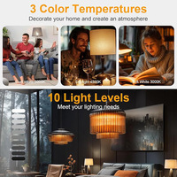 Lampe de camping suspendue à télécommande 3 couleurs Ampoule d'urgence magnétique à piles Ampoule rechargeable pour non câblée