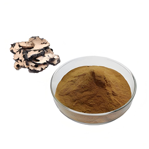 Extracto de <span class=keywords><strong>Polyporus</strong></span> Umbellatus y extracto de <span class=keywords><strong>Polyporus</strong></span> para la salud herbal tradicional y productos de salud modernos - Product Image 3