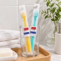 Brosse à dents manuelle ergonomique légère en plastique à poils doux en PBT personnalisée pour adultes, idéale pour la maison, les voyages et les soins bucco-dentaires quotidiens.