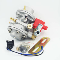 Réducteur de régulateur de pression Compact Cng lpg de haute qualité pour pièces de moteur de générateur de Kit de Conversion de voiture automatique de véhicule à gaz