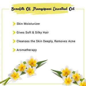 Aceite de Frangipani <span class=keywords><strong>Plumeria</strong></span> Alba 100% Puro, Orgánico y Natural, Aceite Esencial de Frangipani para Jabones, Velas, Masajes, Perfumes y Cosméticos - Product Image 4