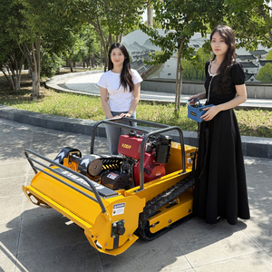Self Propelled 4-Stroke <b>Gasoline</b>/Diesel Crawler Type Remote Control Lawn Mower Flail Cutter for Farm Garden Forestry AWY-800S/AW - Product Image 2
