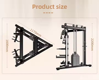 Dinuo Compact "Small Bird" Appareil d'entraînement fonctionnel - Salle de sport à domicile tout-en-un avec rack à squats, crossover de câbles et lat pulldown