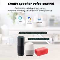American Standard 2 prises Tuya WiFi Google Home Alexa Télécommande Prise intelligente Prise électrique murale Interrupteur de prise de courant