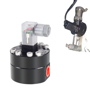เครื่องวัดการไหลแบบดิสเพลสเมนต์เชิงบวกสำหรับการฉีดเมทานอลปริมาณมาก - Product Image 2
