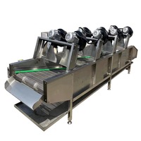 Machine multifonctionnelle entièrement automatique en acier inoxydable pour le lavage et le séchage des fruits et légumes, avec tamis vibrant pour citrons, pour la vente en gros