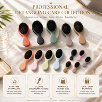 Ensemble de 2 brosses démêlantes personnalisées avec logo, brosse ergonomique en forme de S avec pochette personnalisée grande et petite pour les voyages et la maison