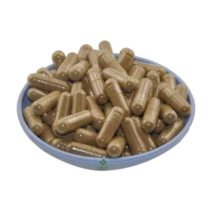 Top Quality Price Light Cordyceps Extract Powder Cordyceps Extract Capsule