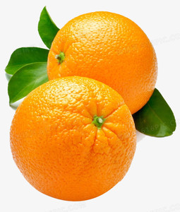 Shandong มะนาวมะนาวสดไร้เมล็ดผลไม้ส้มผลไม้อายุ60วันเพื่อการเกษตร - Product Image 5