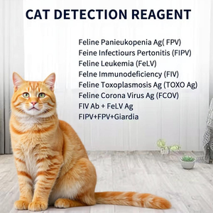 Kit de <span class=keywords><strong>test</strong></span> FHV antigène herpèsvirus-I de haute précision certifié CE pour usage commercial et domestique bandelettes de <span class=keywords><strong>test</strong></span> vétérinaire rapide pour chats - Product Image 3