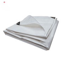 YRH usine 100% bâche en poly transparente robuste avec traitement UV pour l'agriculture à effet de serre PE PVC camion bâche rouleau feuille