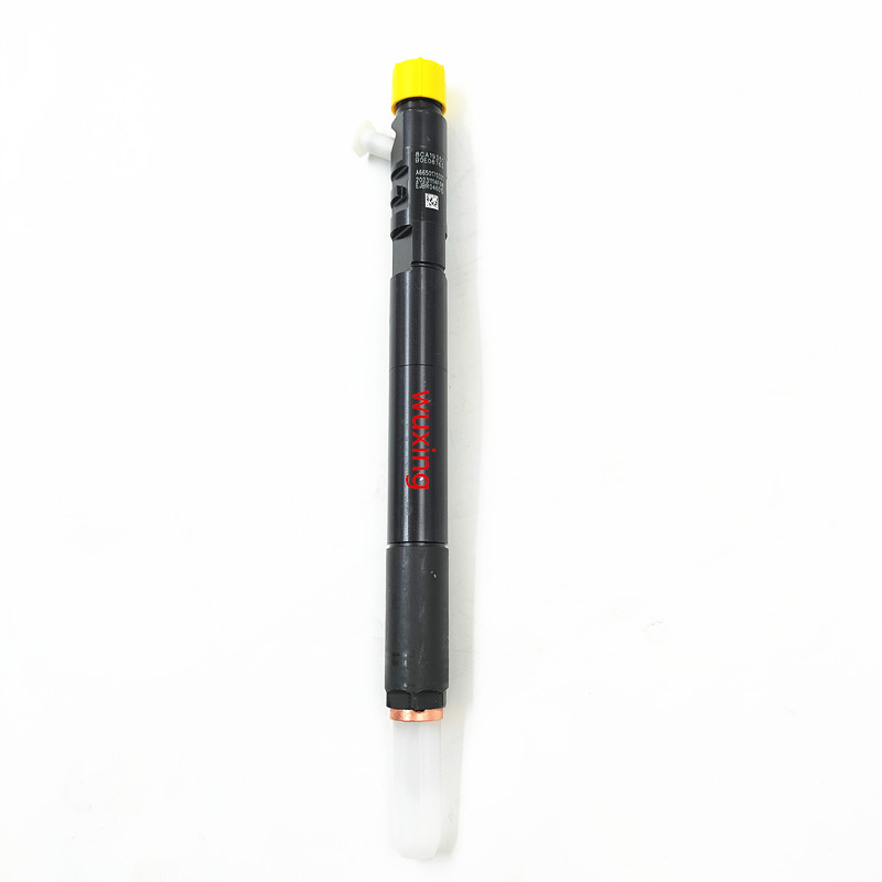 common fuel injector fuel injector EJBR02801D EJBR02901D EJBR03701D for Delphi engine