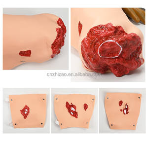 หุ่นจำลองการบาดเจ็บ ZHIZAO 43 ชิ้นส่วน รุ่นขั้นสูง ทำจาก PVC/พลาสติก สำหรับการฝึกอบรมทางการแพทย์เพื่อการประเมินการบาดเจ็บทางพยาบาล - Product Image 2