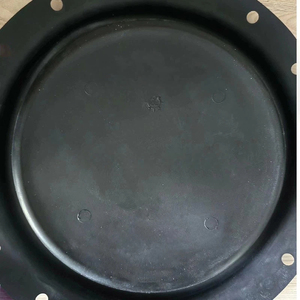ชุดซ่อมแอคชูเอเตอร์ 2052 รุ่น GE28042 / GE31917 / GE34829 (ประกอบด้วยไดอะแฟรม, ปะเก็น และโอริง) - สำหรับวาล์วควบคุม - Product Image 2