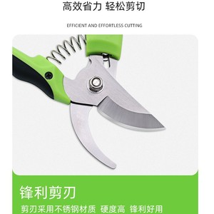 Nice Garden <b>Pruning</b> Shears Carbon Steel Thick Branch Cutting For Fruit <b>Trees</b> Manual <b>Tool</b> - Product Image 2